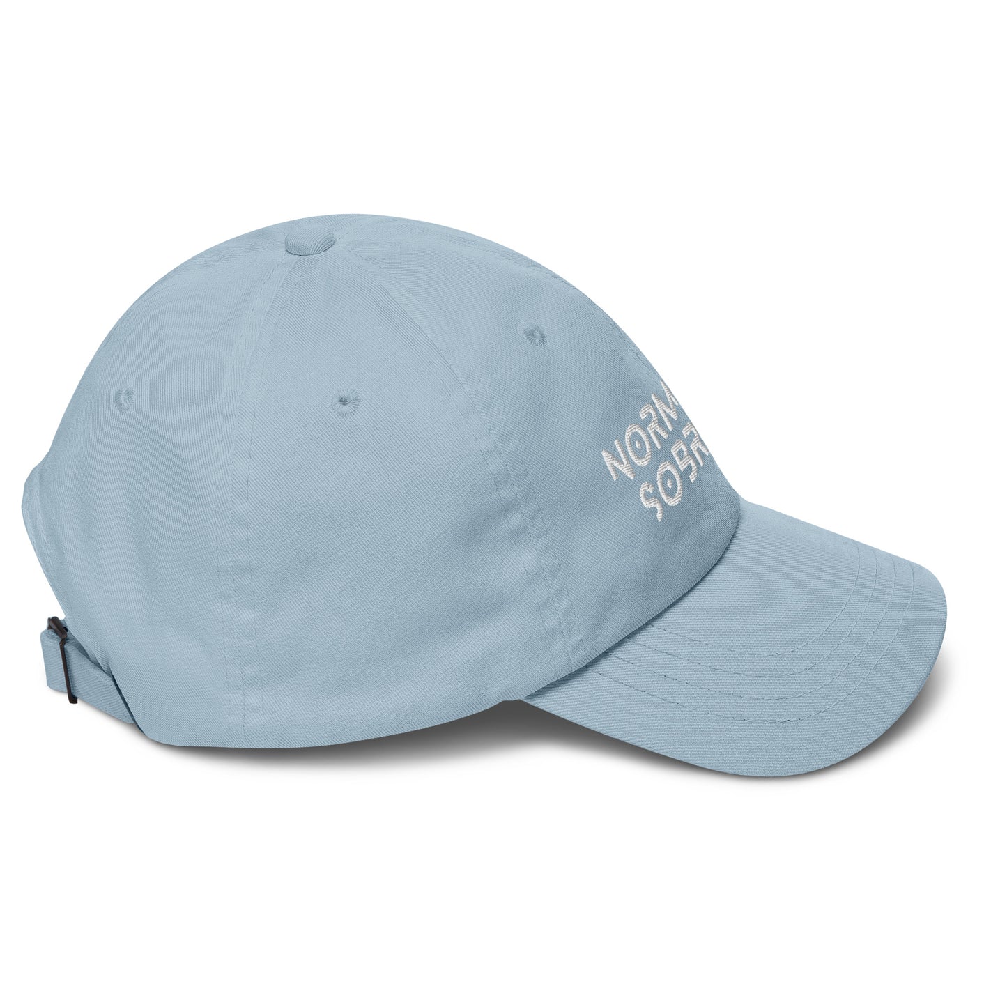 Normalize Sobriety Hat