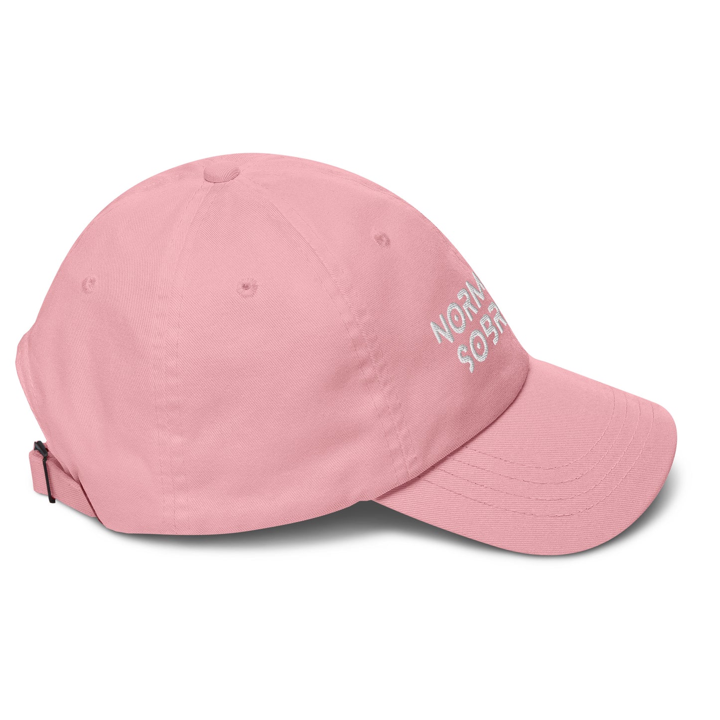 Normalize Sobriety Hat