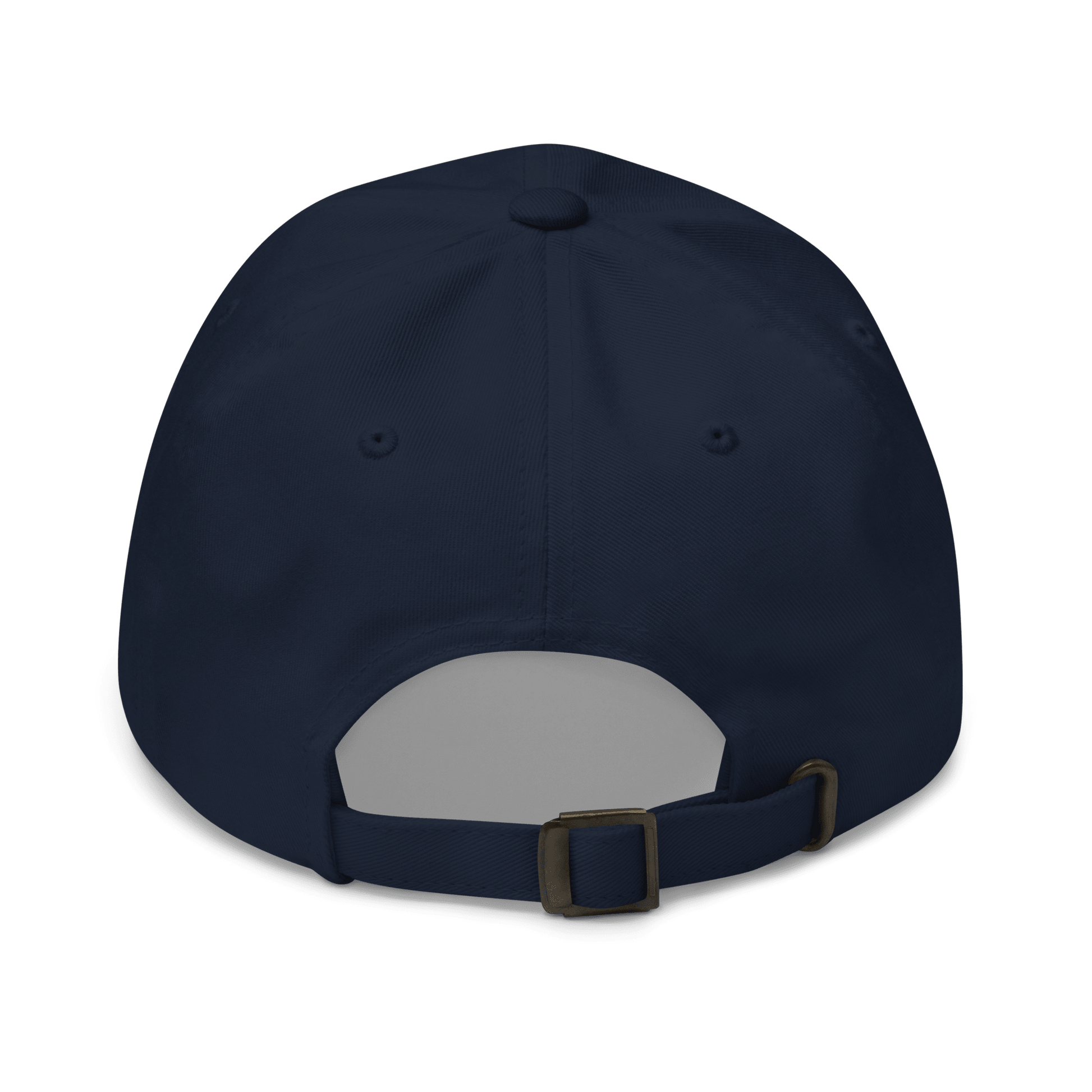 Cold Turkey Dad Hat - Soberlands