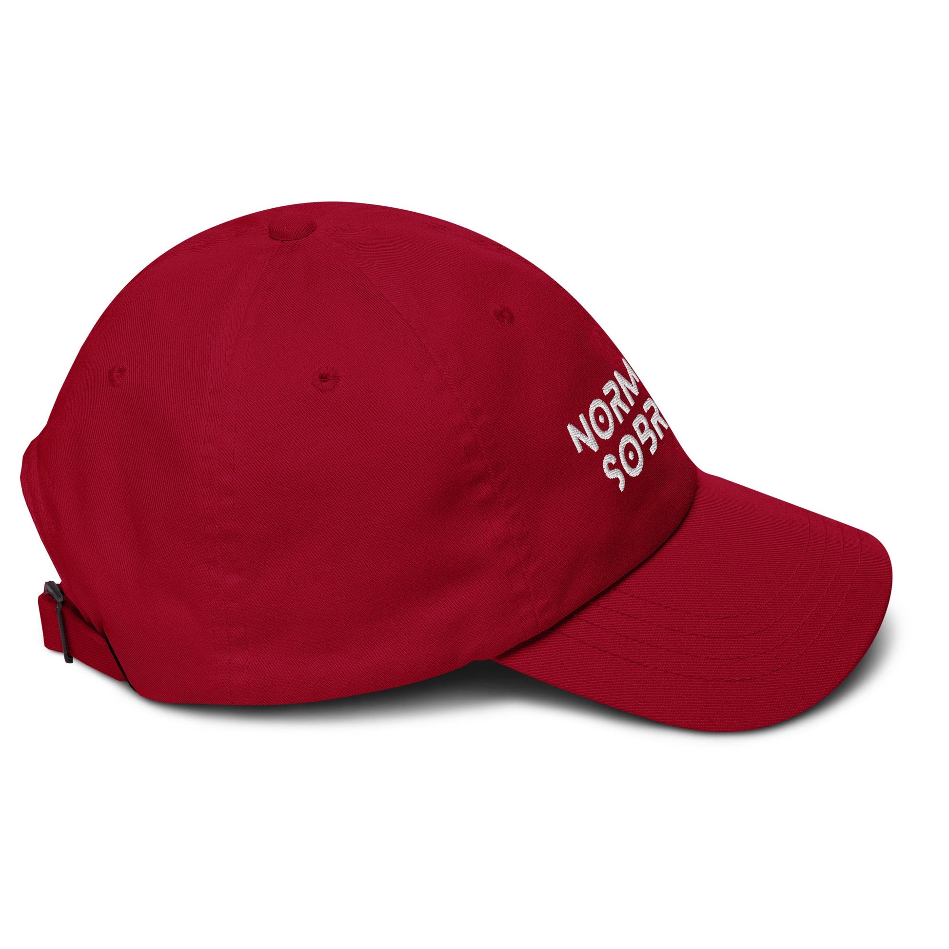 Normalize Sobriety Hat - Soberlands