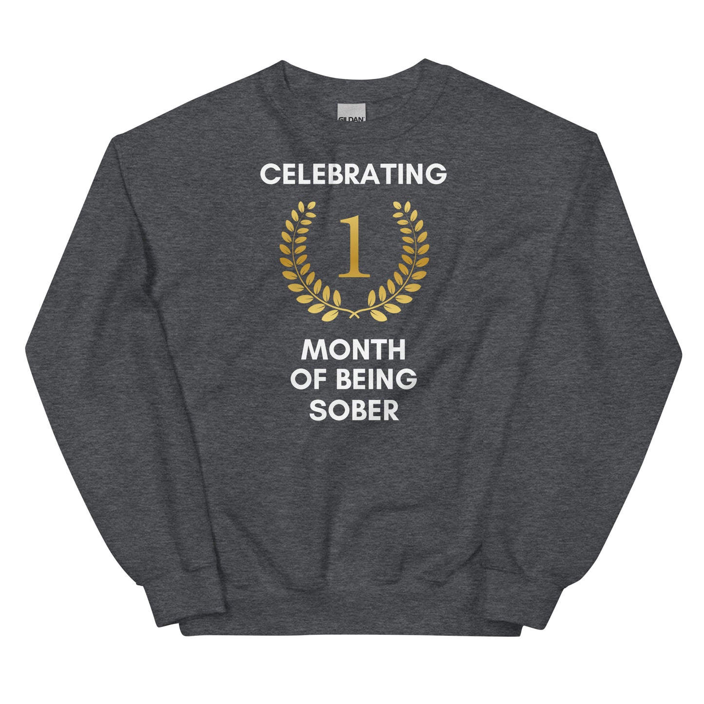 One Month Sober Sweatshirt