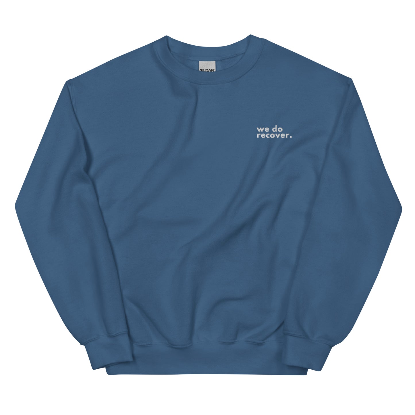 We Do Recover Embroidered Sweatshirt