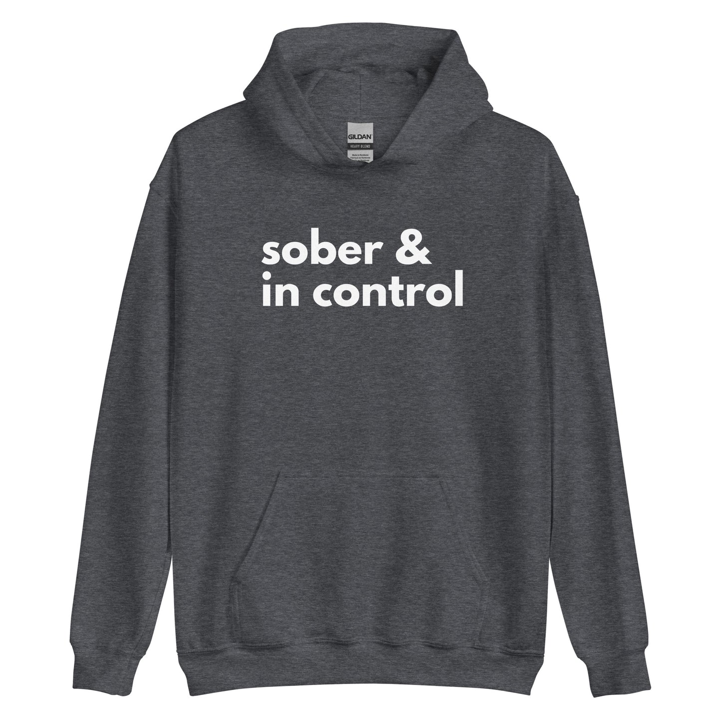 Sober & In Control Hoodie