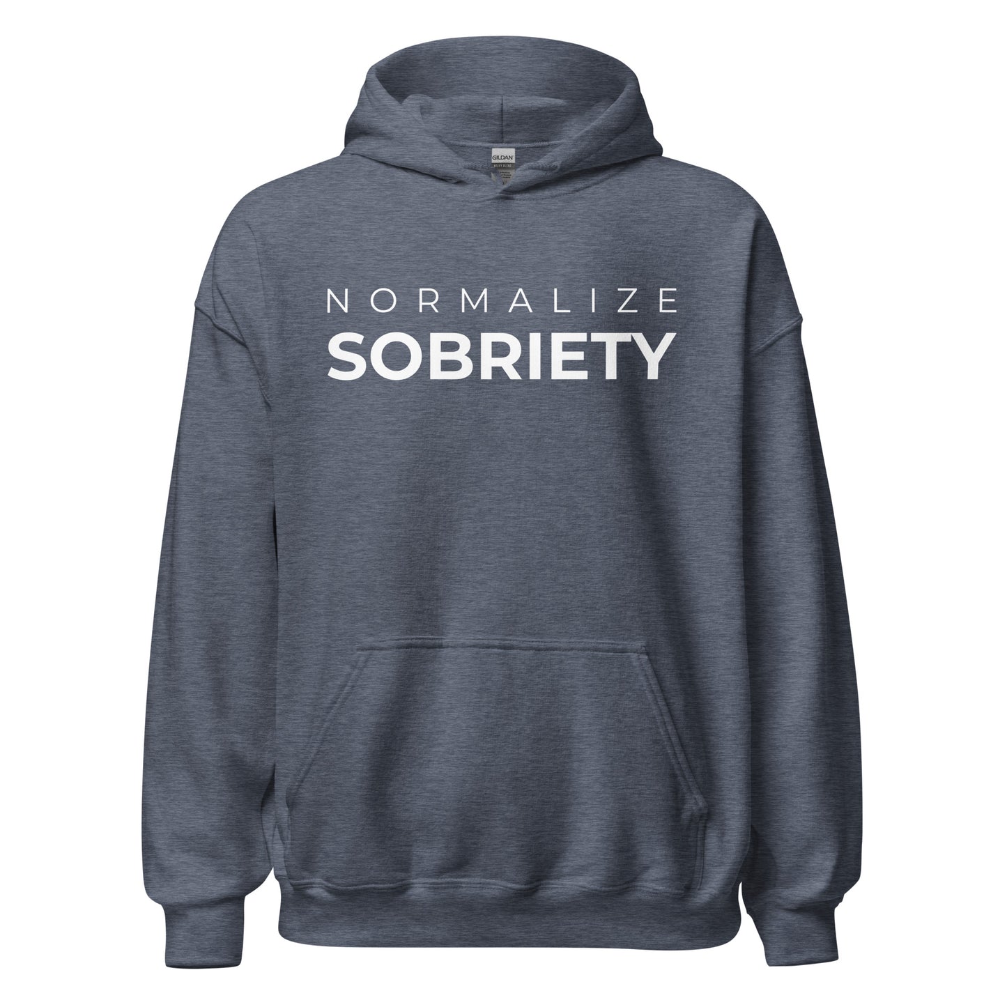 Normalize Sobriety MS Hoodie