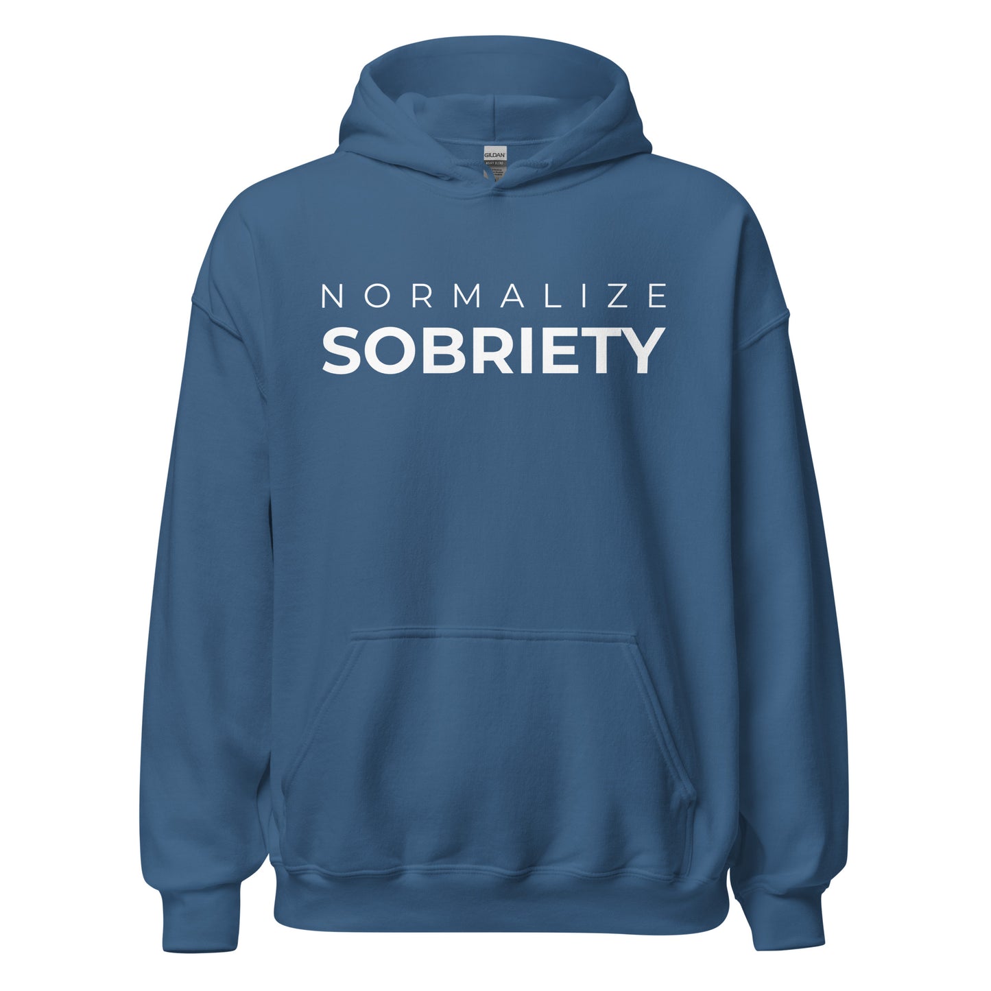 Normalize Sobriety MS Hoodie