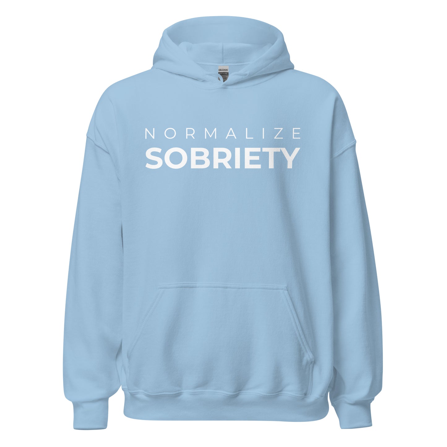 Normalize Sobriety MS Hoodie