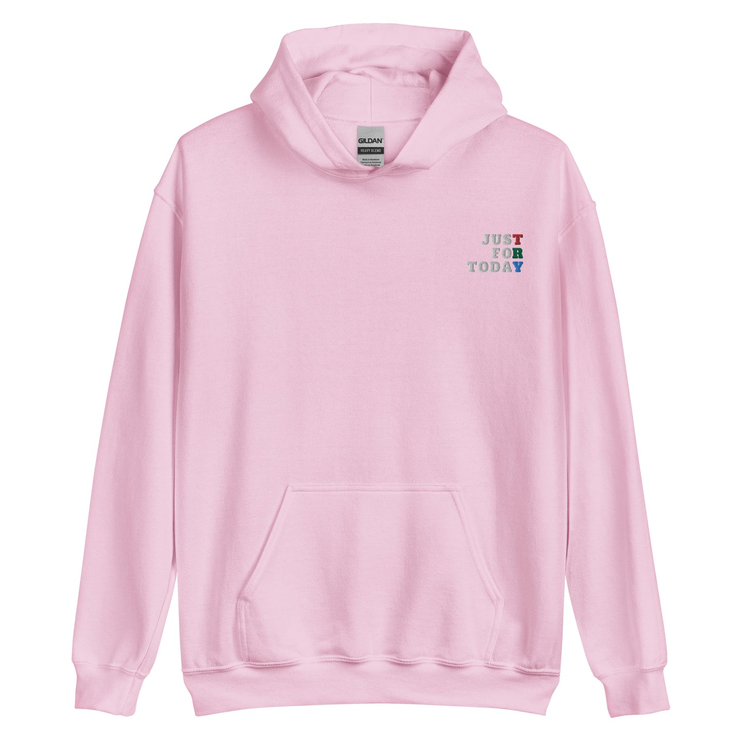 TRY Embroidered Hoodie