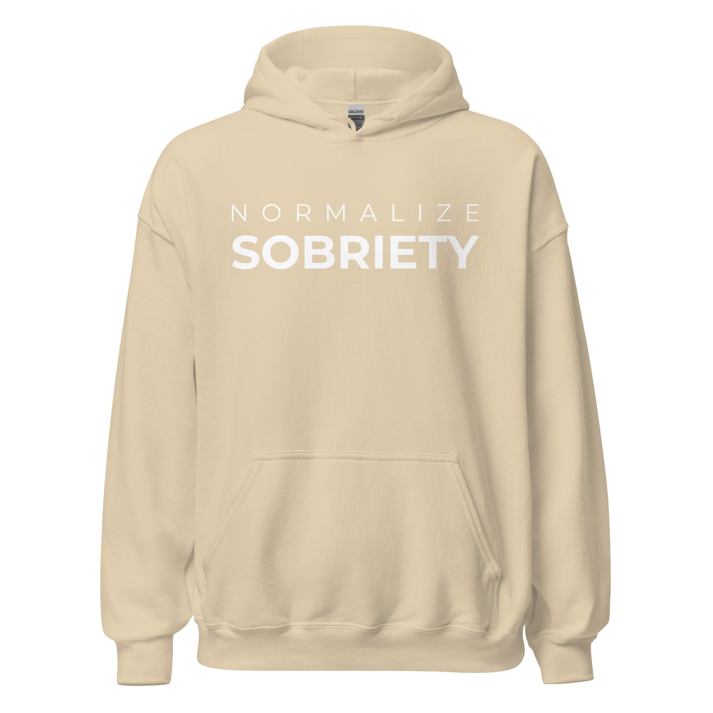 Normalize Sobriety MS Hoodie