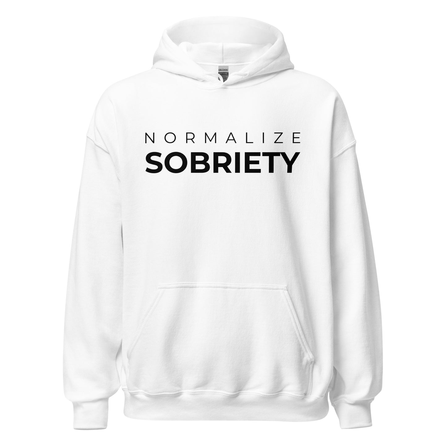 Normalize Sobriety MS Hoodie